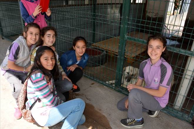 Yüzlerce öğrenci hayvan barınağını ziyaret ediyor