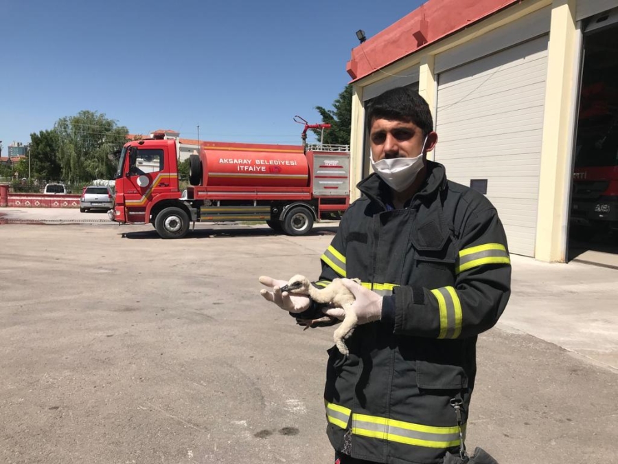 Aksaray'da Leylek Yavrusu Düştüğü Yerden Kurtarıldı